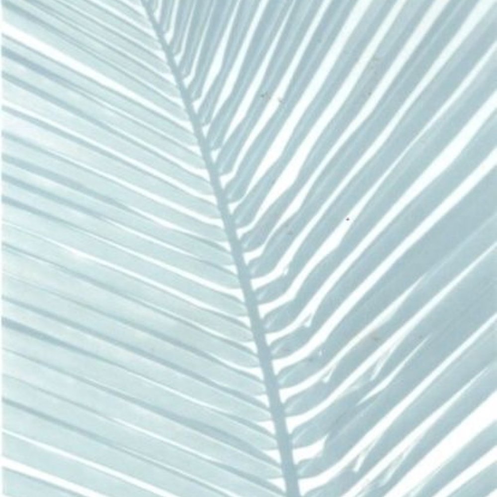 Meet your Posher, Jean